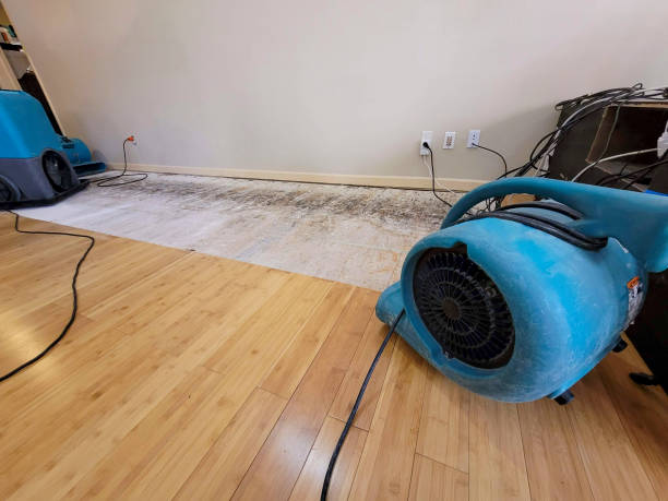 Professional Burst Pipe Water Damage technician working in Thomaston, GA